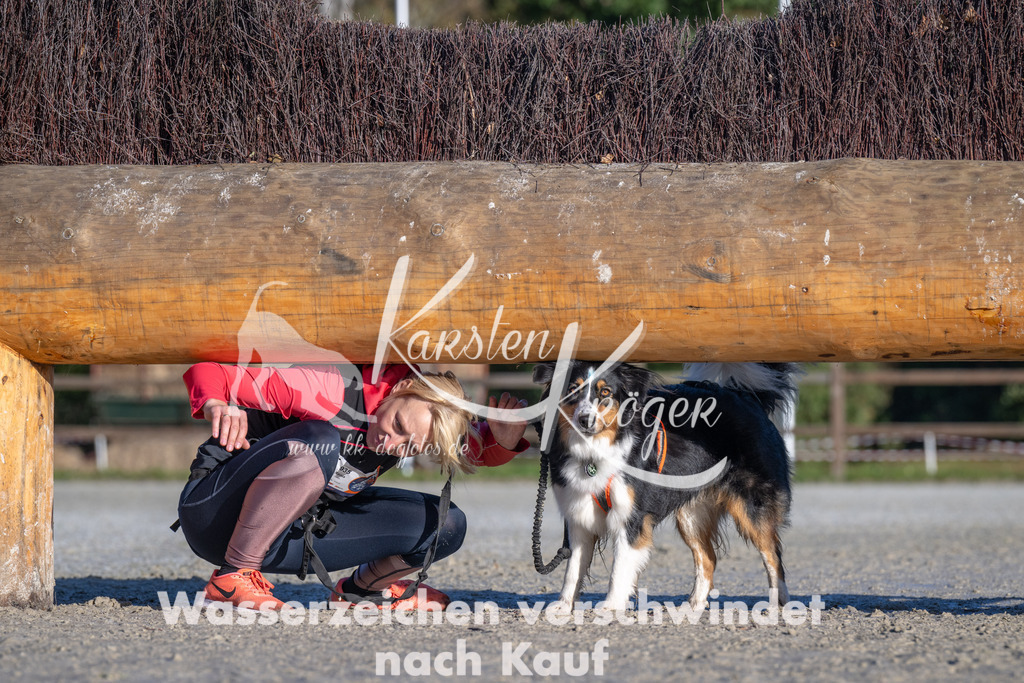 1016-_ZZ90536 | kk-dogfotos