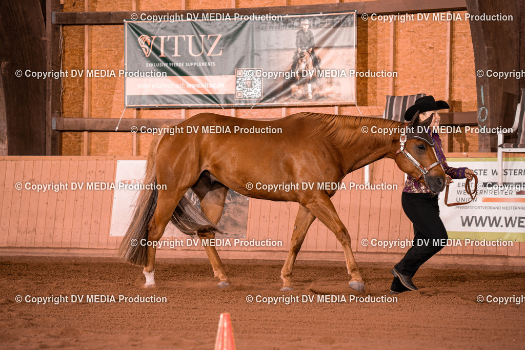 NE100099 | dv-media-shop - Realisiert mit Pictrs.com