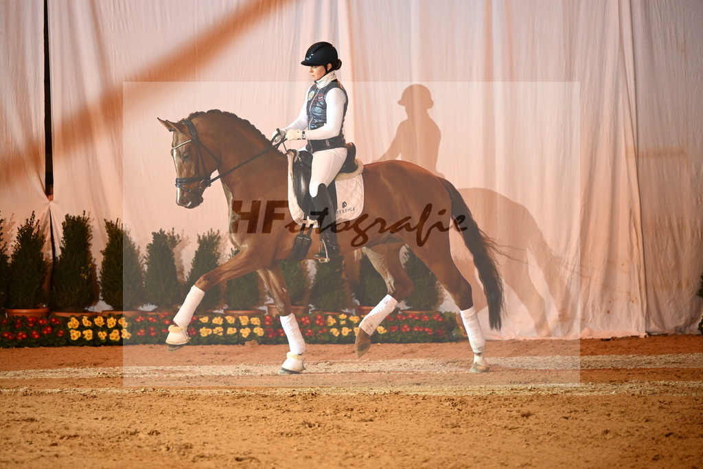 Viva Diamond_2241567 | hf-fotografie - Realisiert mit Pictrs.com