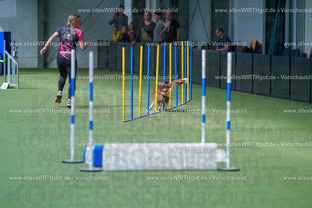 @allesWIRTHgut_Tierfotografie - www.allesWIRTHgut.de - 2604261403-7R503296 | Professionelle Tierfotografie in Mönchengladbach von Daniel Wirth (allesWIRTHgut). Liebevolle & natürliche Bilder von Hunden & Katzen für unvergessliche Erinnerungen.