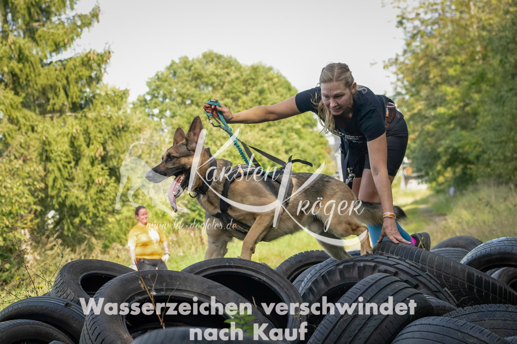 1541_ZZ92185-Bearbeitet | kk-dogfotos