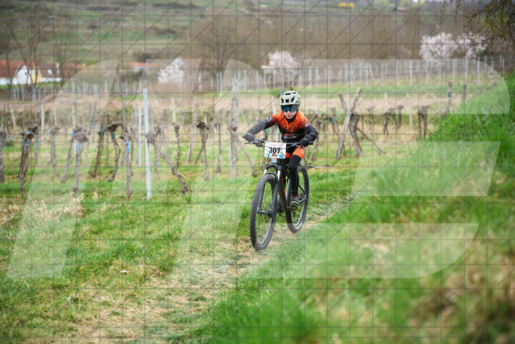 34. KTM Kamptal Trophy  | ZÖBING, Österreich – 2026-03-28: 34. KTM Kamptal TrophyFoto: © 2026 Martin Bihounek - MB Creative e.U.