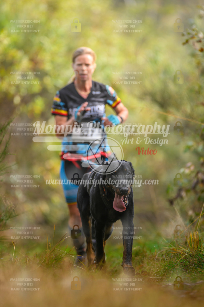 MompixPhotography_20TSB_E4_Run-99 | PayLife