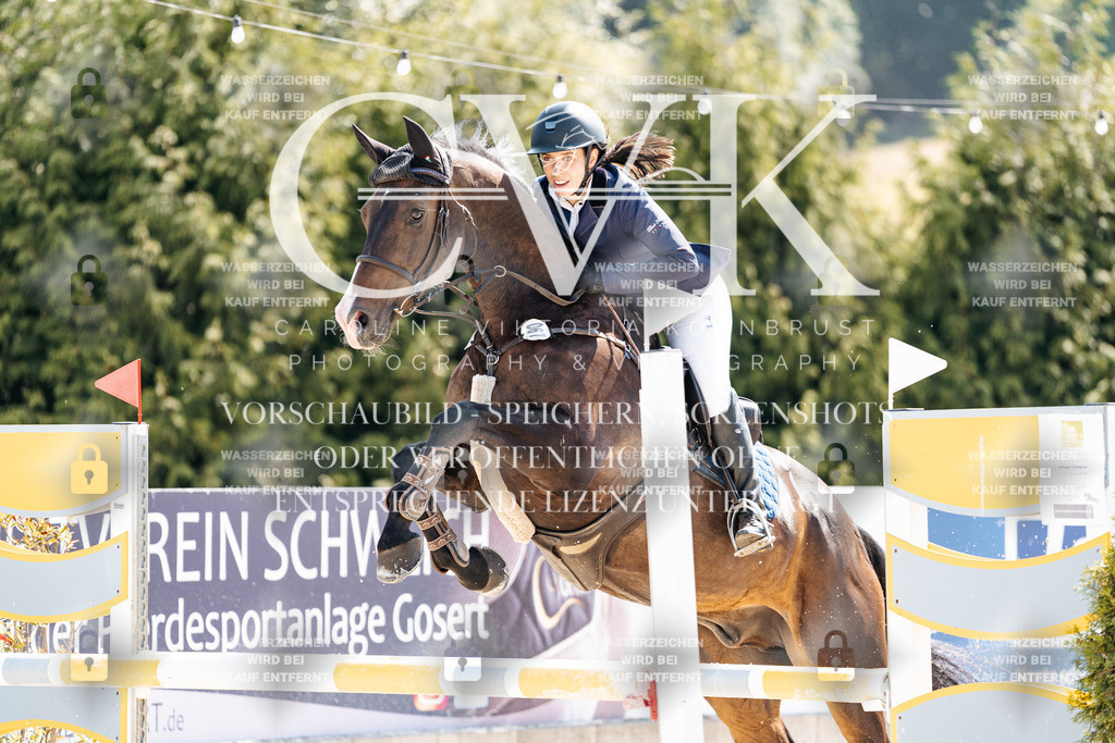 CK908703 | Turnierfotografie Pferdefotografie Trier Rheinland-Pfalz Pferdesport Reitsport Tierfotografie Sportfotografie Pferdevideo Pferdevideografie Equestrianvideography equestrianphotography  - Realisiert mit Pictrs.com