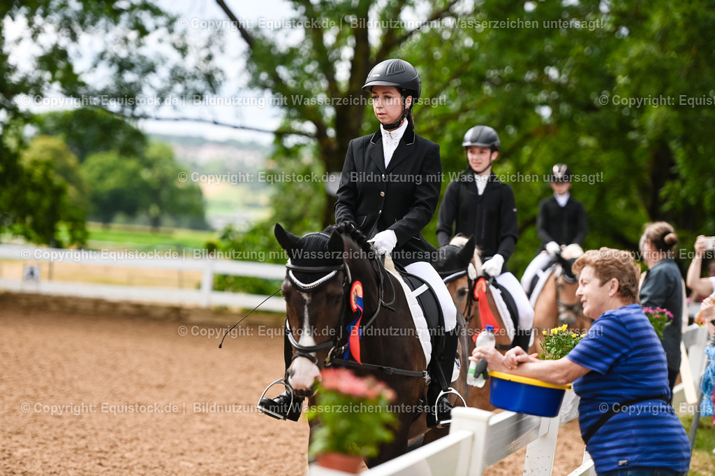 20230716_10-1_Reiter-WB Schritt - Trab - Galopp_0286 | equistock