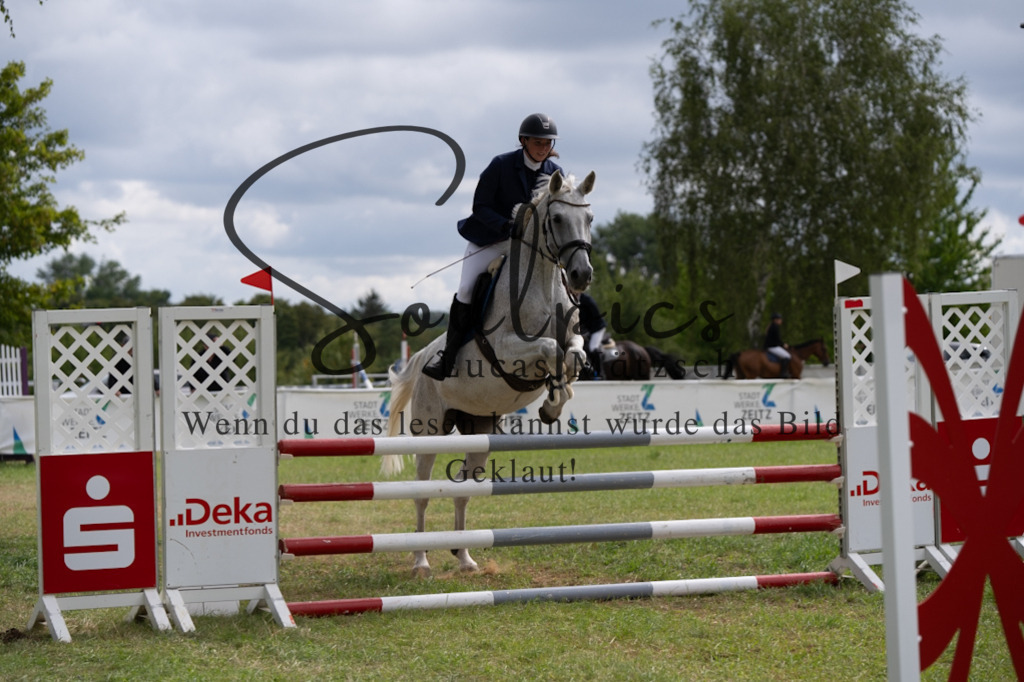 A7V05343 | Pferdefotograf