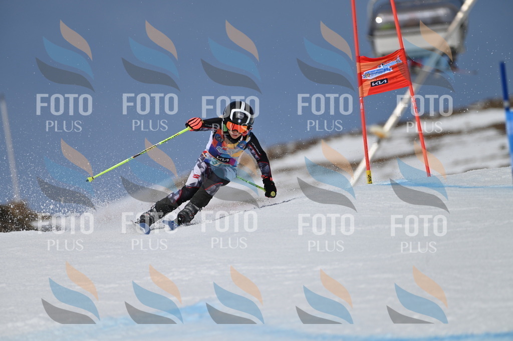 BGV_7360 | holidayphoto