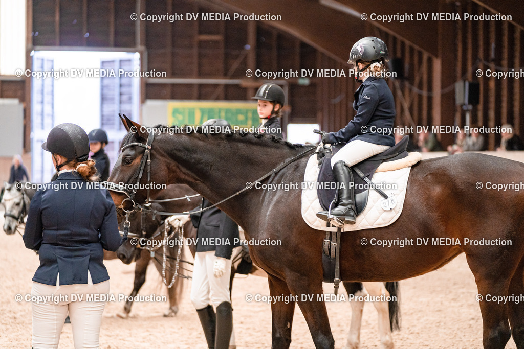 Dressur Tag 3-424 | dv-media-shop - Realisiert mit Pictrs.com