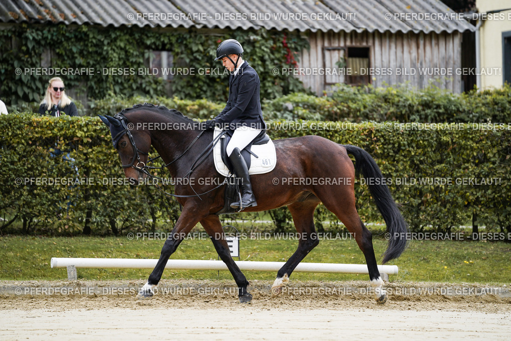 DSC04886 | Pferdegrafie