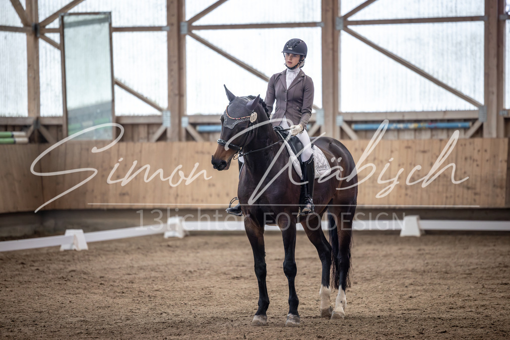 20251011-_3LI9783 | Tierfotografie Pferde, Hunde, Katzen, Haustiere.
Turnierfotografie Reitturniere, Reiten, Springreiten, Dressur in Hanau, dem Main-Kinzig-Kreis und dem Rhein-Main- Gebiet um Frankfurt