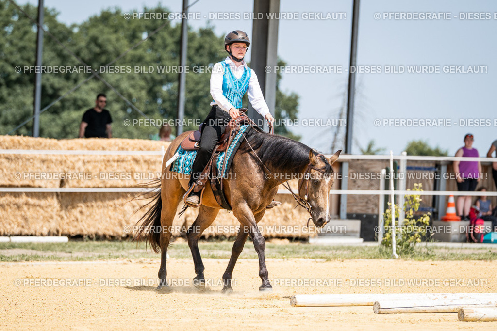 DSC01018 | Pferdegrafie