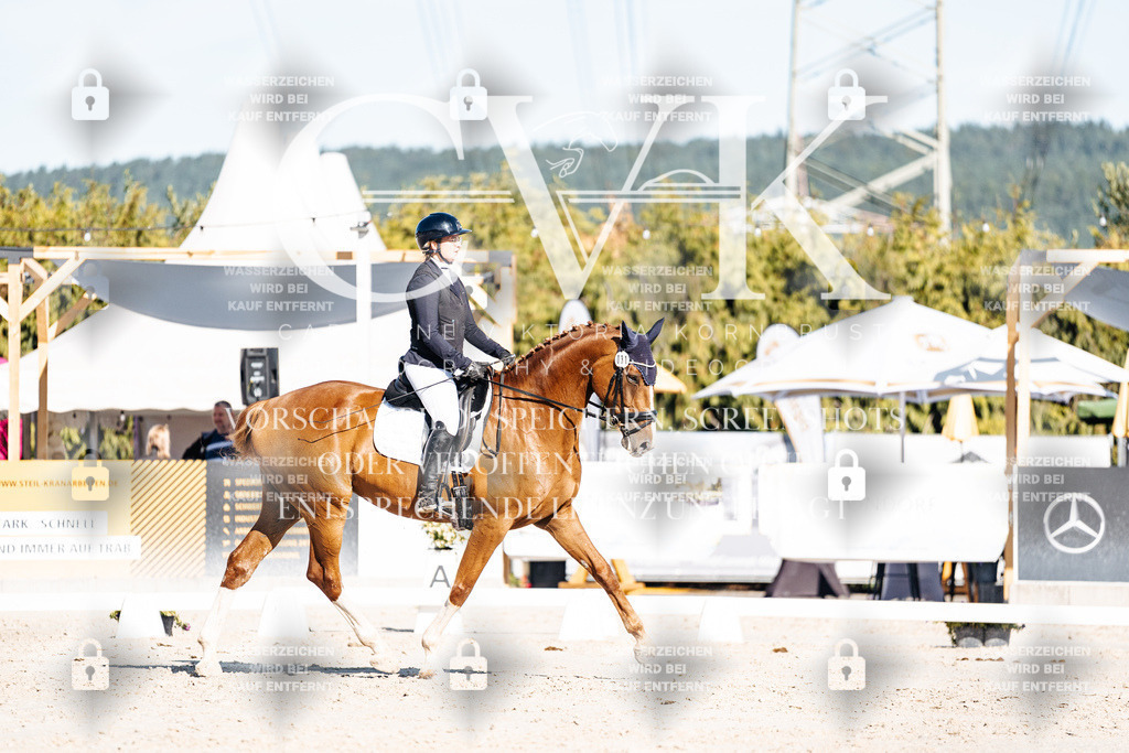 CK907638 | Turnierfotografie Pferdefotografie Trier Rheinland-Pfalz Pferdesport Reitsport Tierfotografie Sportfotografie Pferdevideo Pferdevideografie Equestrianvideography equestrianphotography  - Realisiert mit Pictrs.com