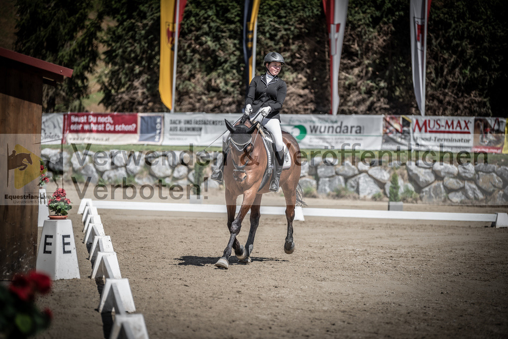 DSC_0419 | equestrian-live-com
