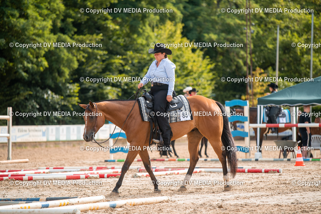 ZS3_9175 | dv-media-shop - Realisiert mit Pictrs.com