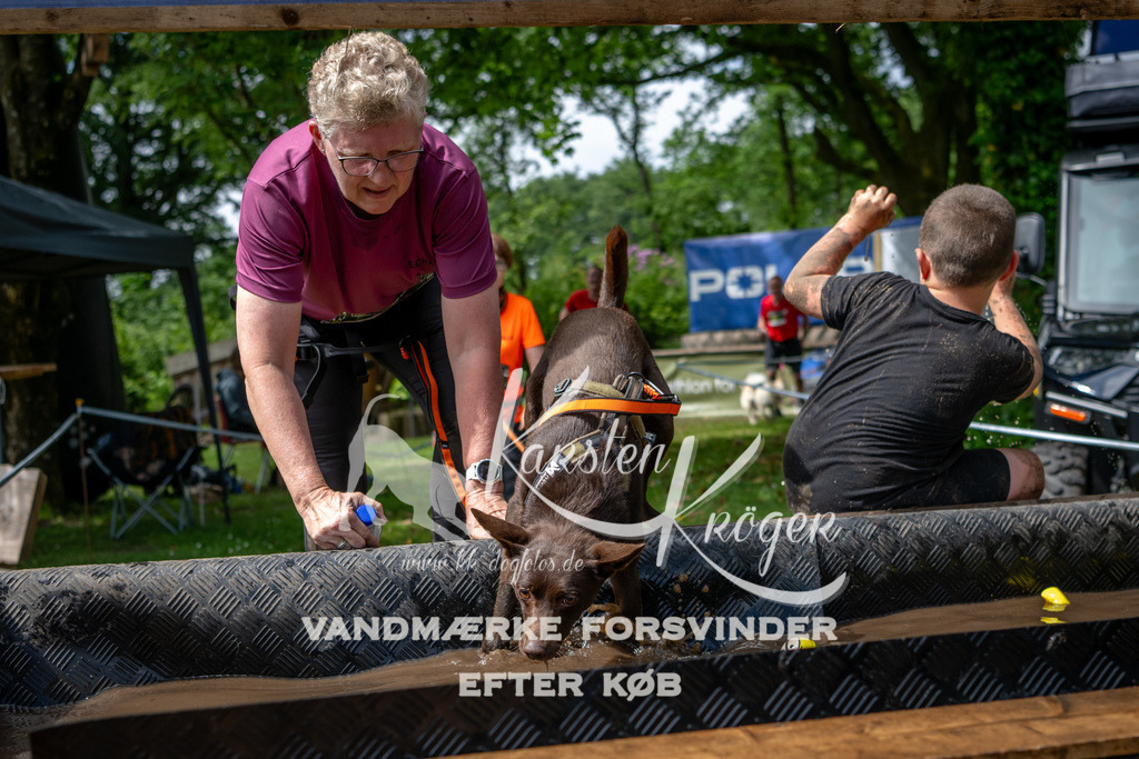 1113_ZZ93026 | kk-dogfotos