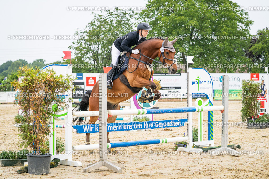 DSC09874 | Pferdegrafie