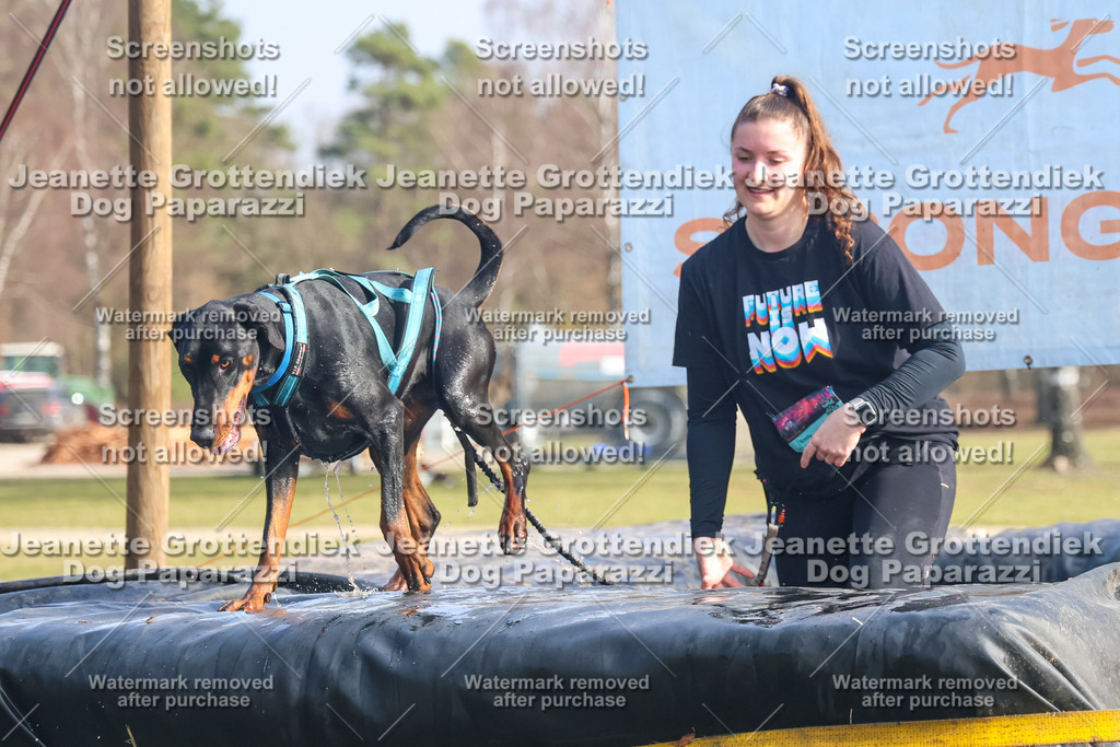 Dog Paparazzi - Strongdog North Mrz26-2004 | Dog Paparazzi Jeanette Grottendiek Fotografie & Videografie - Realisiert mit Pictrs.com
