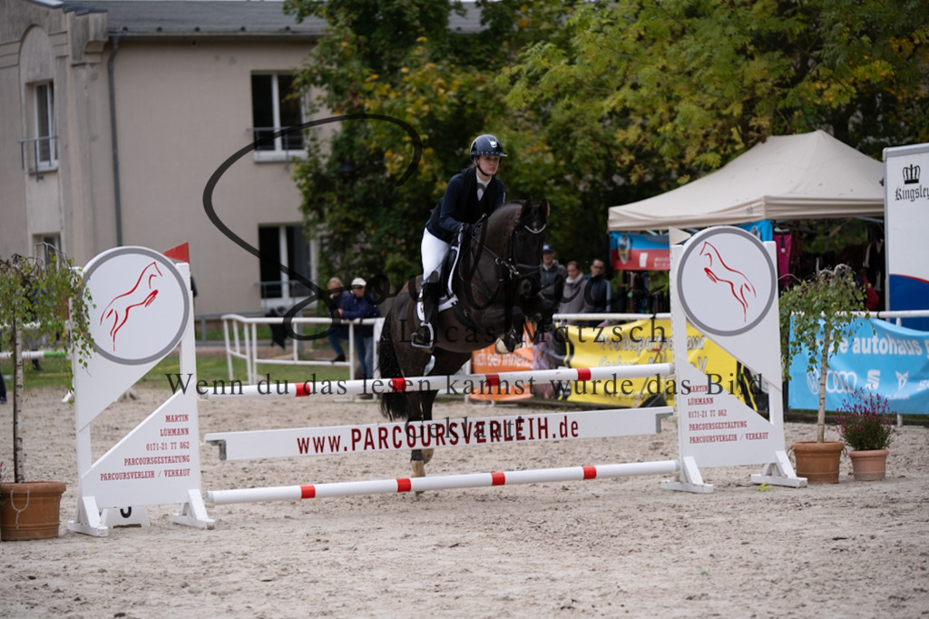 A7V08027 | Pferdefotograf