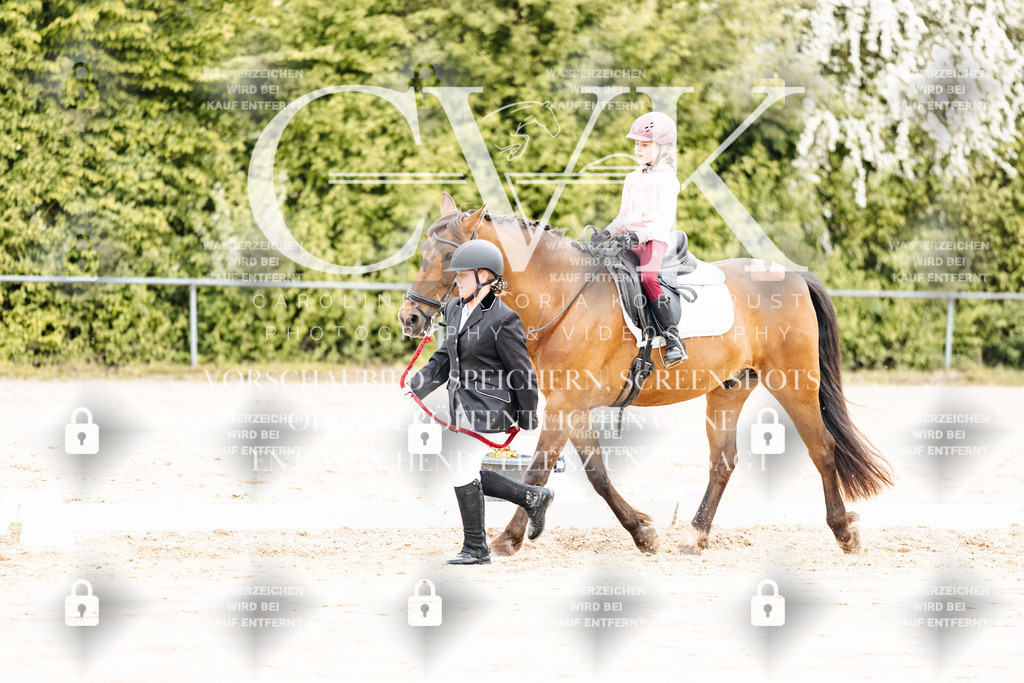 CK903696 | Turnierfotografie Pferdefotografie Trier Rheinland-Pfalz Pferdesport Reitsport Tierfotografie Sportfotografie Pferdevideo Pferdevideografie Equestrianvideography equestrianphotography  - Realisiert mit Pictrs.com