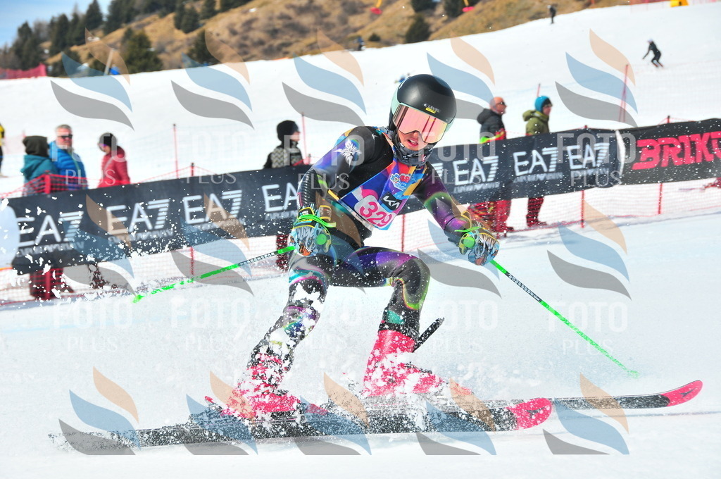 DSC_6795 | holidayphoto