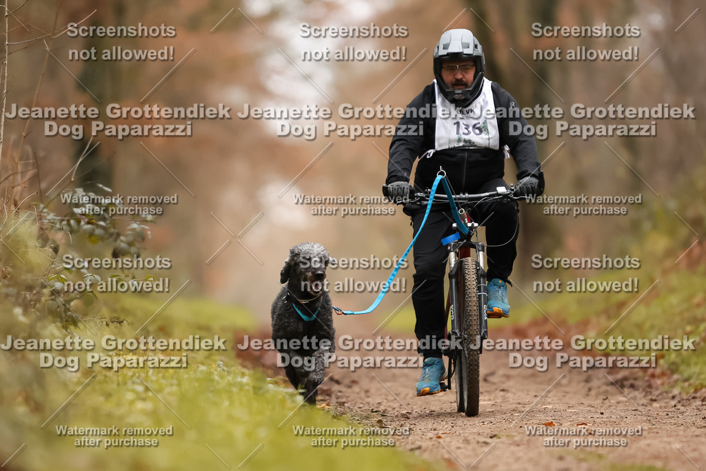 Dog Paparazzi - Speedhunter Mannheim  2025-382 | Dog Paparazzi Jeanette Grottendiek Fotografie & Videografie
