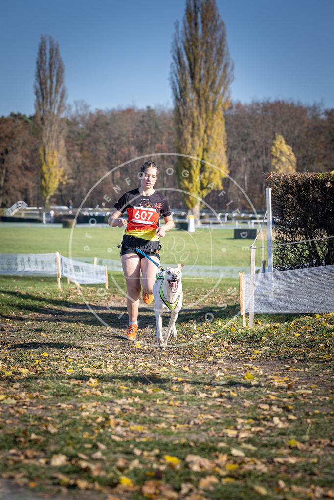 CaniXpix_DV3A9683 | Hundefotografie, Tierfotograf, Pfotenfotografie, Fotoshooting Hund, Hunde Portrait, Hundesport, Hundeportraits, Heideshooting, Hunde, Sportfotograf, Hundefotograf, Turnierhundsport, THS,  - Realisiert mit Pictrs.com