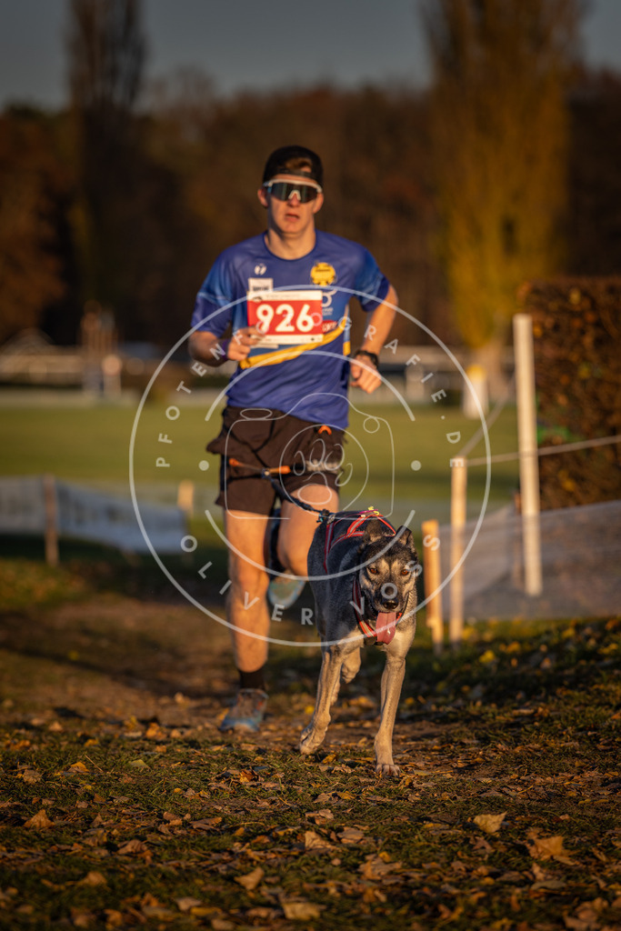CaniXpix_DV3A5051 | Hundefotografie, Tierfotograf, Pfotenfotografie, Fotoshooting Hund, Hunde Portrait, Hundesport, Hundeportraits, Heideshooting, Hunde, Sportfotograf, Hundefotograf, Turnierhundsport, THS,  - Realisiert mit Pictrs.com