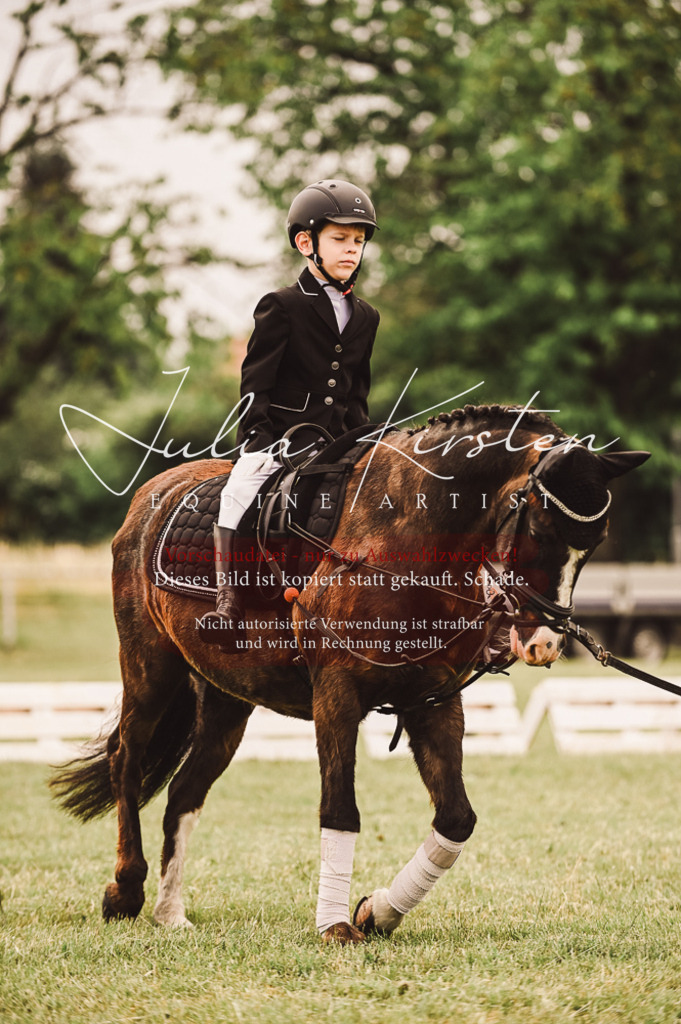 DSC_5322 | Pferde- und Turnierfotografie in Westsachsen. Pferdeportraits, Auftragszeichnungen und intuitive Kunst.