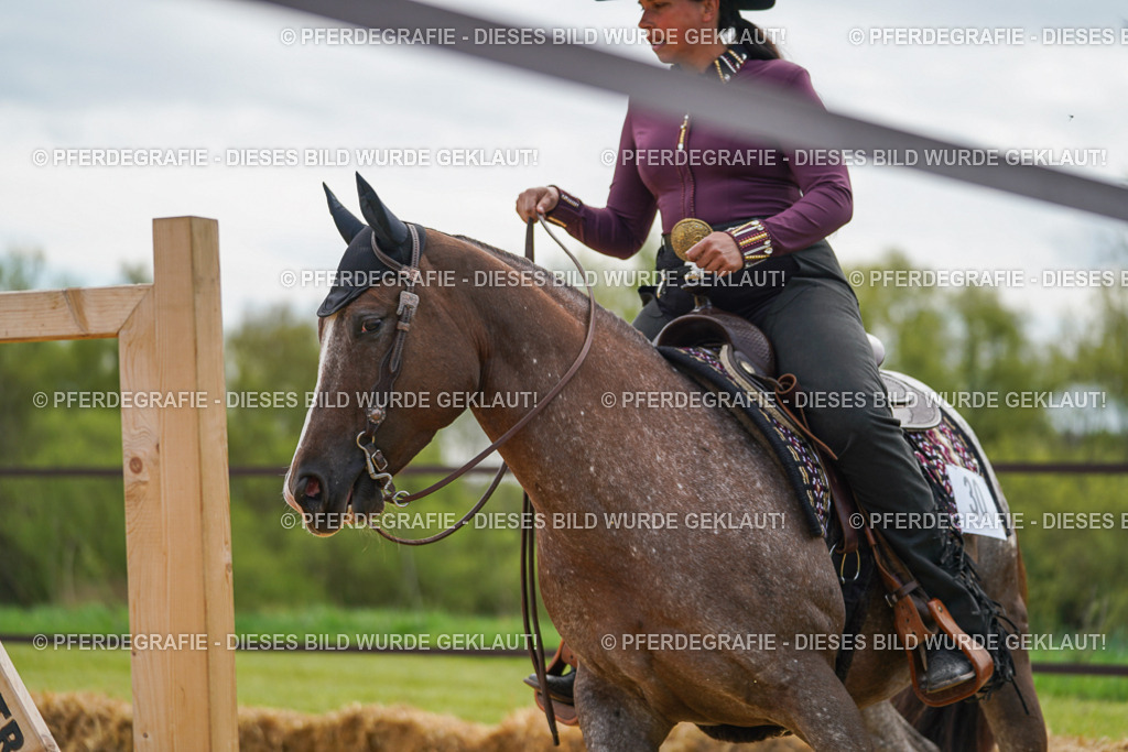 DSC03463 | Pferdegrafie