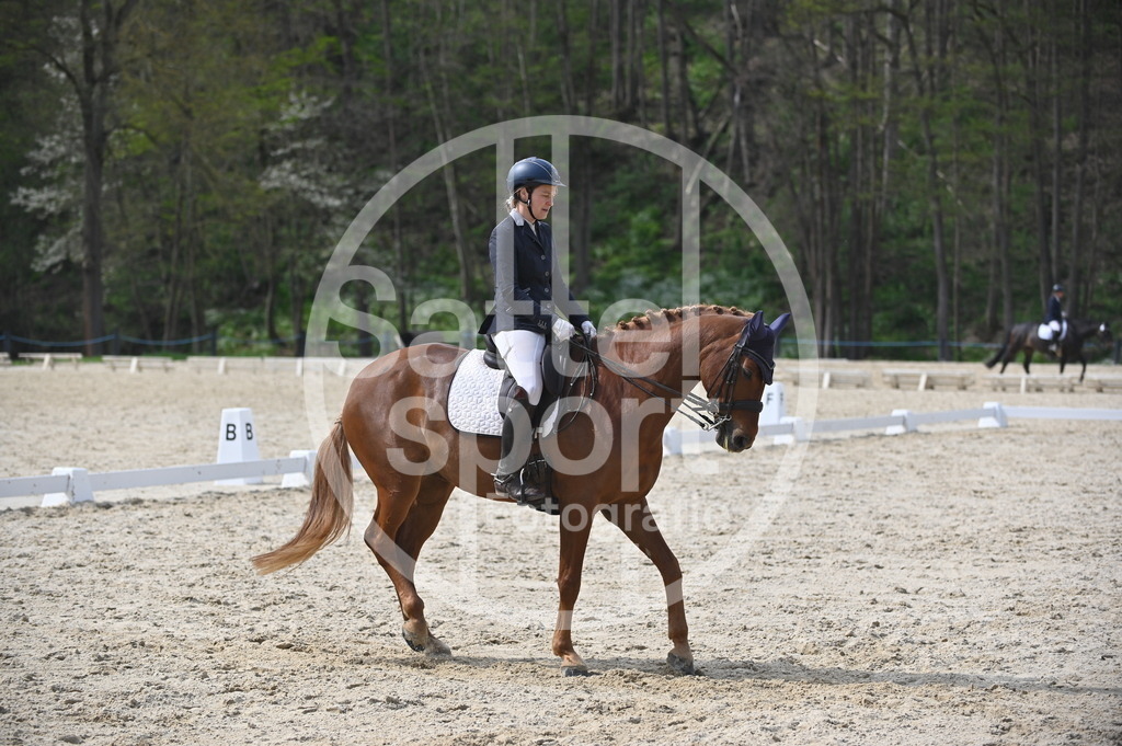 DSC_4510 | sattelsport - Realisiert mit Pictrs.com