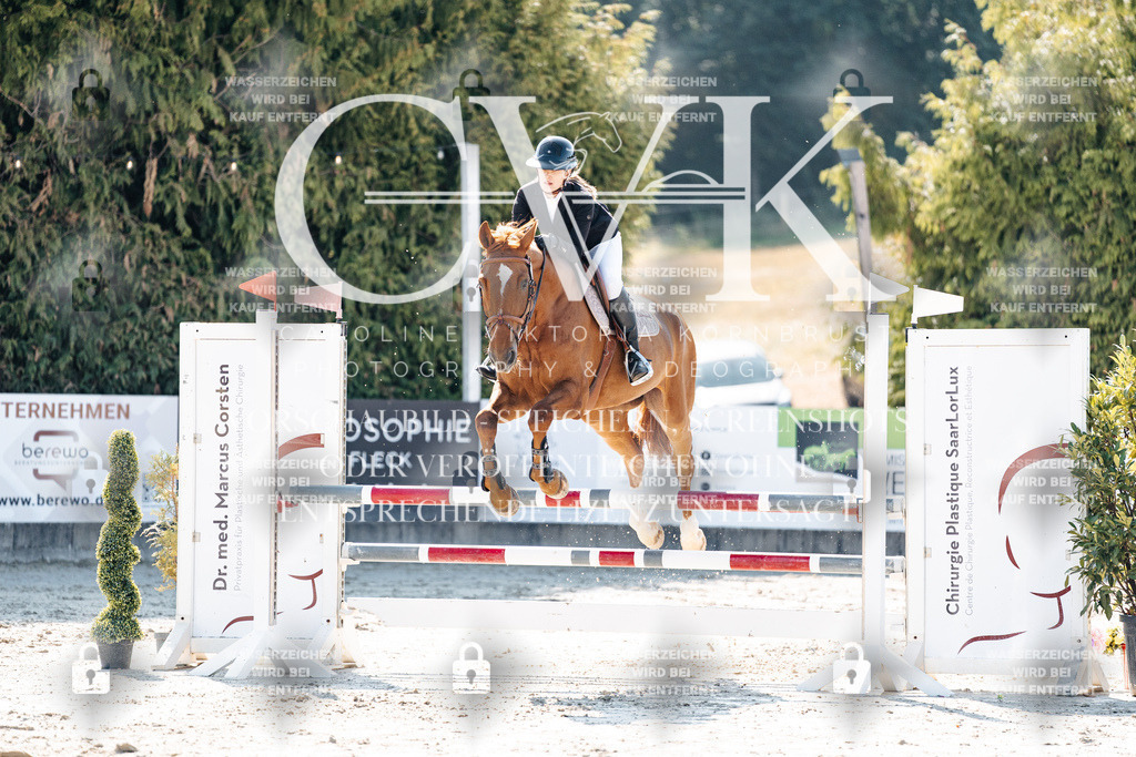 CK907897 | Turnierfotografie Pferdefotografie Trier Rheinland-Pfalz Pferdesport Reitsport Tierfotografie Sportfotografie Pferdevideo Pferdevideografie Equestrianvideography equestrianphotography  - Realisiert mit Pictrs.com