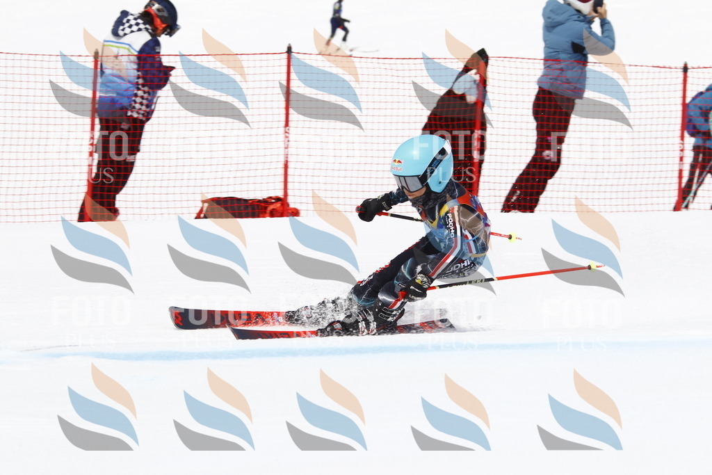 _U3G5631 | holidayphoto