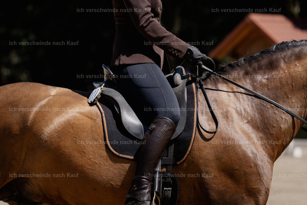 WE_DR_23_SinaFilmArt_IN03007 | working equitationturnier fotograf videograf stoibphotography marixx film working equitation deutschland reitsport turnierfotografie eventfotografie equestrian events