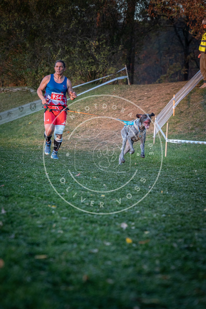 CaniXpix_0L8A2080 | Hundefotografie, Tierfotograf, Pfotenfotografie, Fotoshooting Hund, Hunde Portrait, Hundesport, Hundeportraits, Heideshooting, Hunde, Sportfotograf, Hundefotograf, Turnierhundsport, THS,  - Realisiert mit Pictrs.com