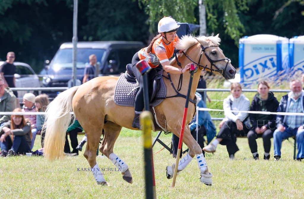 1B3A4163 | Reitsport Reiten