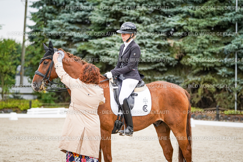 DSC09917 | Pferdegrafie