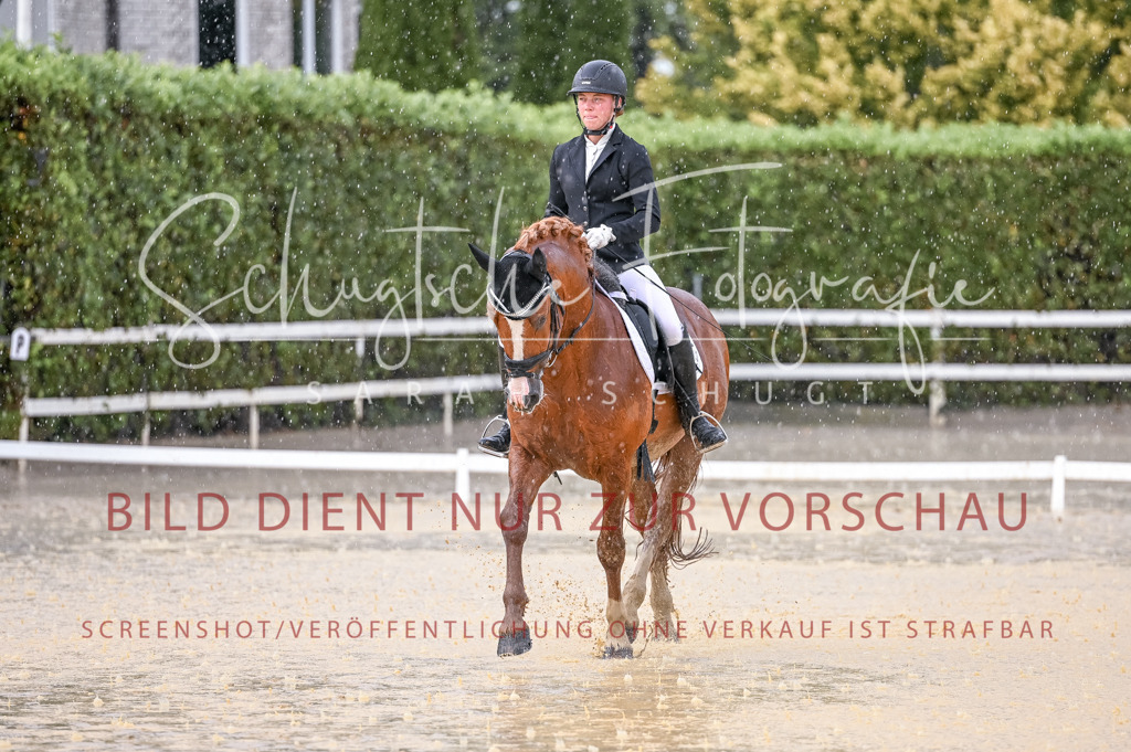 Schugtsche-Aluta25-54.Dressurprf.L1Trense-78 | Schugtsche Fotografie - Realisiert mit Pictrs.com