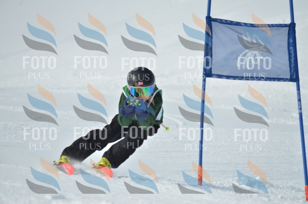 D8714 | holidayphoto