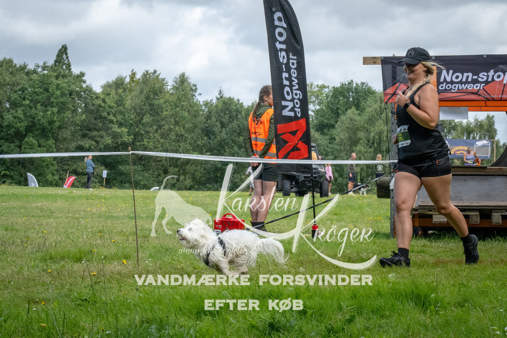 1135_ZZ92675-Bearbeitet | kk-dogfotos