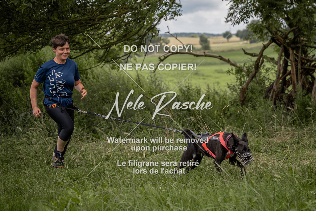 nelerasche_DoN_141 | nelerasche