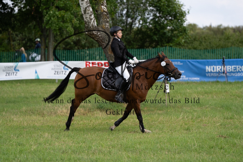 A7V03524 | Pferdefotograf