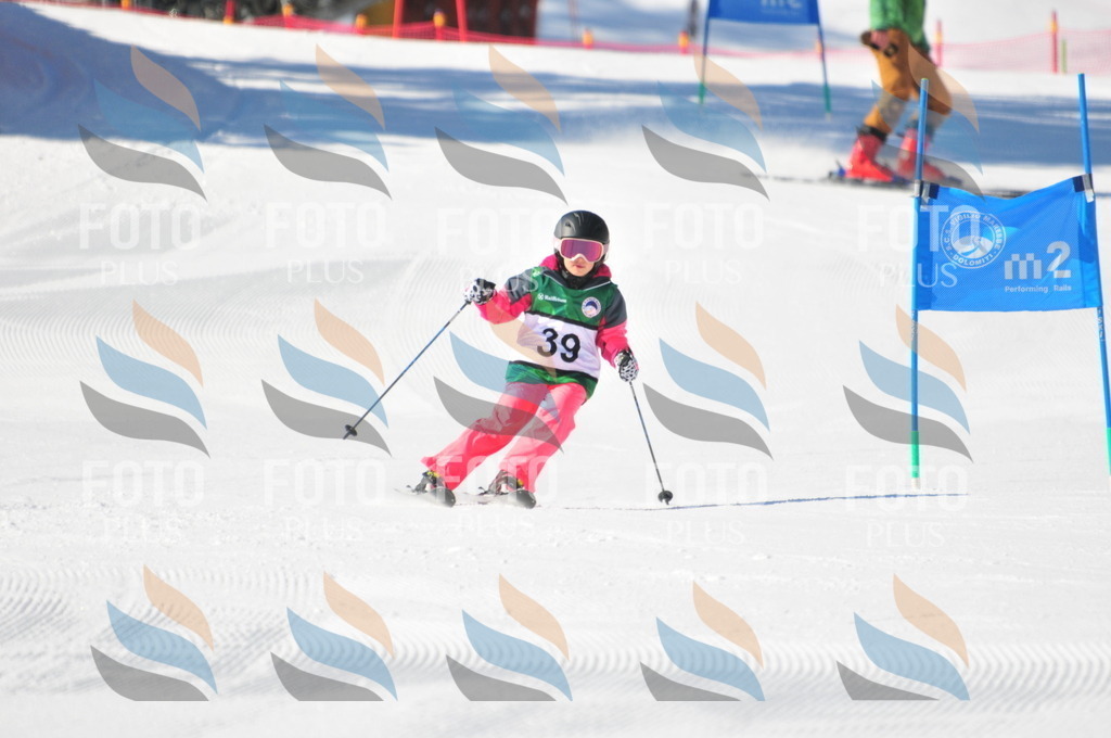 C2714 | holidayphoto