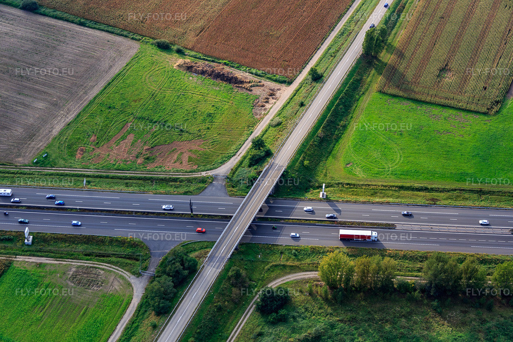 Vue aérienne: Pont pour la D226 au-dessus de l'A35 à Vendenheim dans le département Bas Rhin, France – .Photo: IMG_074118.jpg prise le 04/10/2014 par Werner Riehm/FLY-FOTO.eu – Résolution de l'original: 5472 x 3648 px