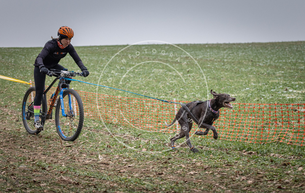 Pfotenfotografie_DV3A1050 | Hundefotografie, Tierfotograf, Pfotenfotografie, Fotoshooting Hund, Hunde Portrait, Hundesport, Hundeportraits, Heideshooting, Hunde, Sportfotograf, Hundefotograf, Turnierhundsport, THS,  - Realisiert mit Pictrs.com