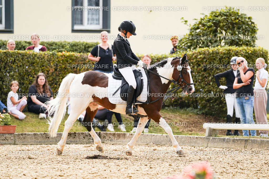 DSC01243 | Pferdegrafie