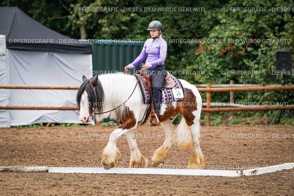 DSC03435 | Pferdegrafie