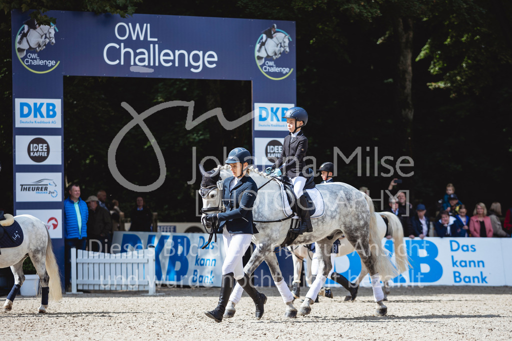 240915_OWLCh_FuehrzuegelWB-634 | Deine schönsten Turniermomente als professionelle Fotos! Entdecke hochwertige Pferdesport-Fotografie im Online-Shop. Jetzt Fotos finden & bestellen!