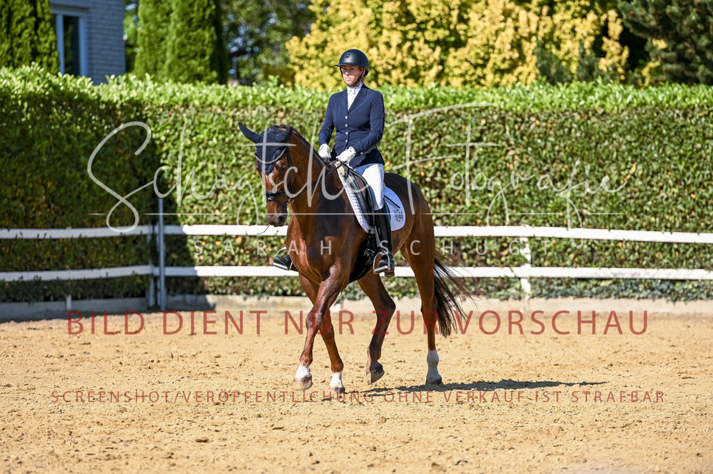 Schugtsche-Aluta25-50.Dressurpferdeprf.L-210 | Schugtsche Fotografie - Realisiert mit Pictrs.com