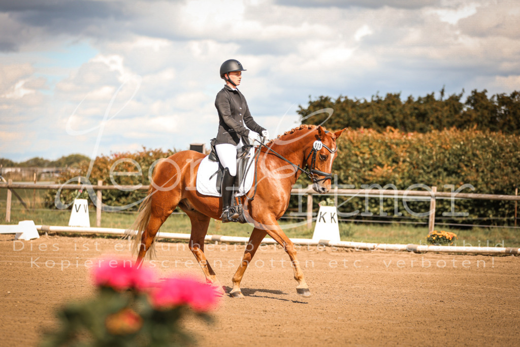 15.SaDrL00038 | Leoni Ertmer Photography - Realisiert mit Pictrs.com