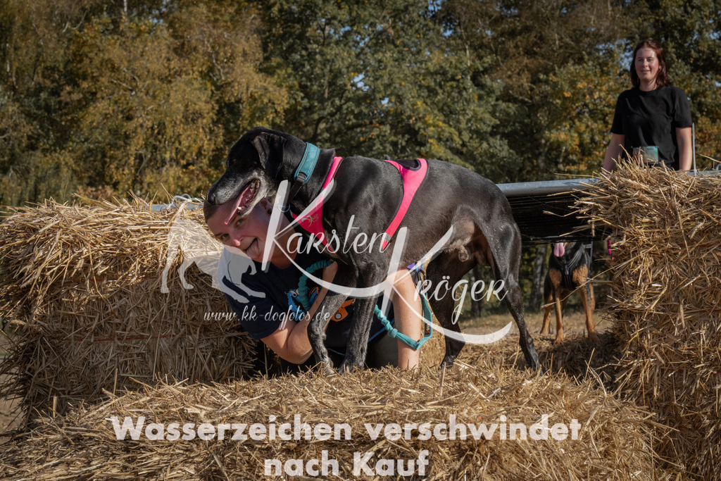 1119_ZZ90914 | kk-dogfotos